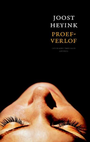 Proefverlof - Joost Heyink (ISBN 9789041414823)