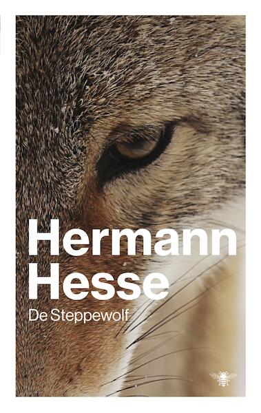 Steppewolf - Hermann Hesse (ISBN 9789023476641)