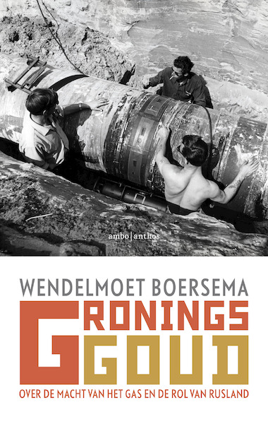 Gronings goud - Wendelmoet Boersema (ISBN 9789026344664)