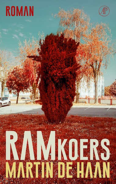 Ramkoers - Martin de Haan (ISBN 9789029543323)