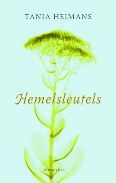 Hemelsleutels - Tania Heimans (ISBN 9789047200437)