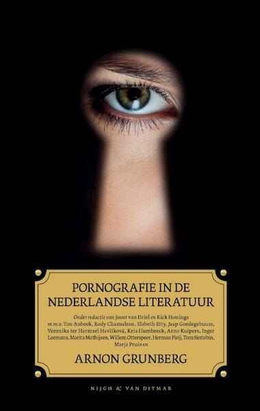 Pornografie in de Nederlandse literatuur - (ISBN 9789038895314)