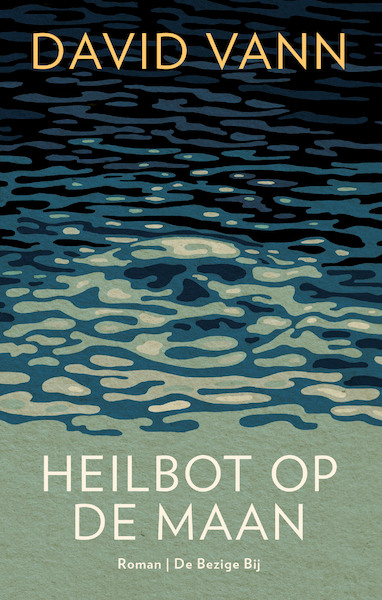 Heilbot op de maan - David Vann (ISBN 9789403147703)