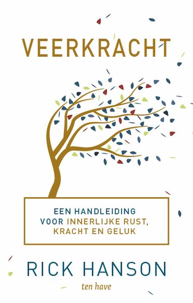 Veerkracht - Rick Hanson (ISBN 9789025906870)