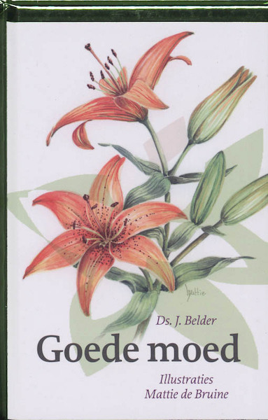 Goede moed - J. Belder (ISBN 9789058299109)