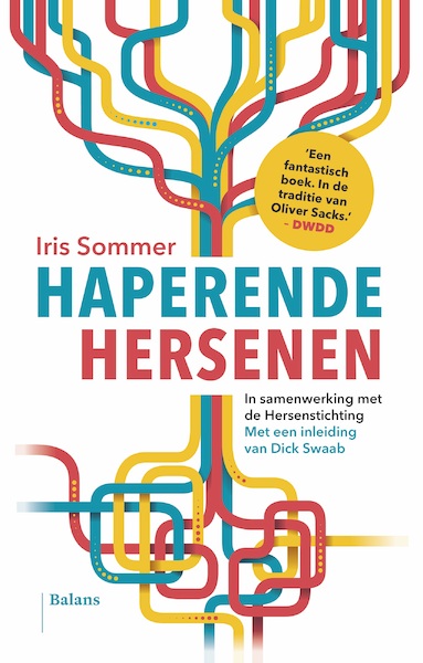 Haperende hersenen - Iris Sommer (ISBN 9789460038327)