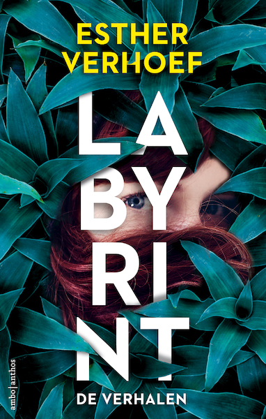 Labyrint - de verhalen - Esther Verhoef (ISBN 9789026351099)