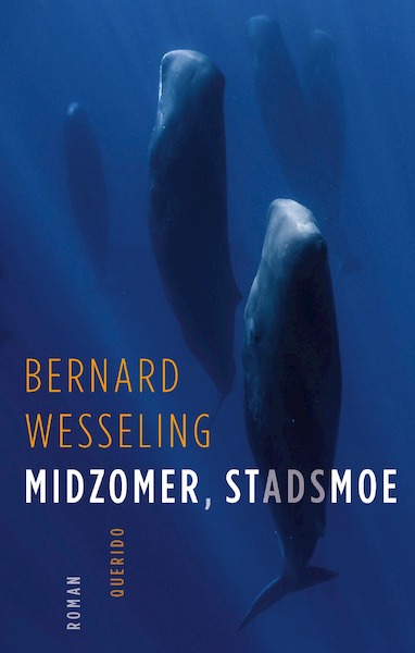 Midzomer, stadsmoe - Bernard Wesseling (ISBN 9789021421384)