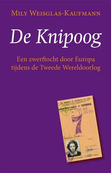 De knipoog - Mily Weisglas-Kaufmann (ISBN 9789087595050)