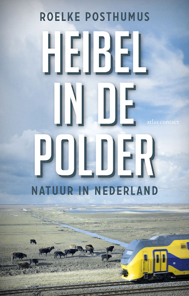 Heibel in de polder - Roelke Posthumus (ISBN 9789045034898)