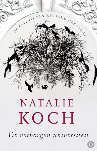 De verborgen universiteit - Natalie Koch (ISBN 9789021439716)