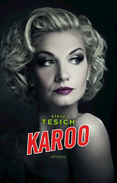 Karoo - Steve Tesich (ISBN 9789044623857)