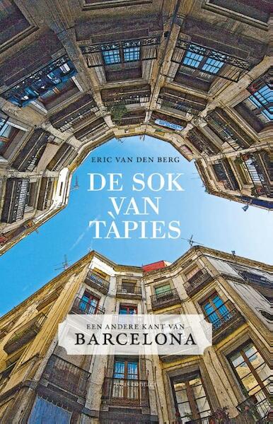 De sok van Tapies - Eric van den Berg (ISBN 9789045018287)