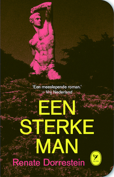 Een sterke man - Renate Dorrestein (ISBN 9789462370814)