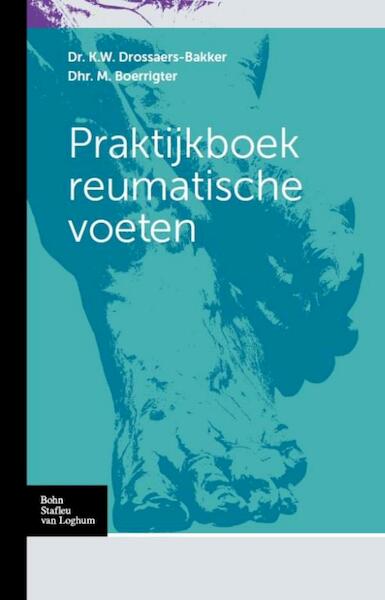 Praktijkboek reumatische voeten - K.W. Drossaers-Bakker, M. Boerrigter (ISBN 9789036807074)