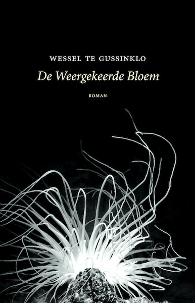 De weergekeerde bloem - Wessel te Gussinklo (ISBN 9789492313331)