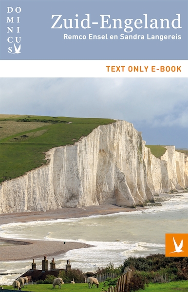 Zuid-Engeland - Remco Ensel, Sandra Langereis (ISBN 9789025764333)