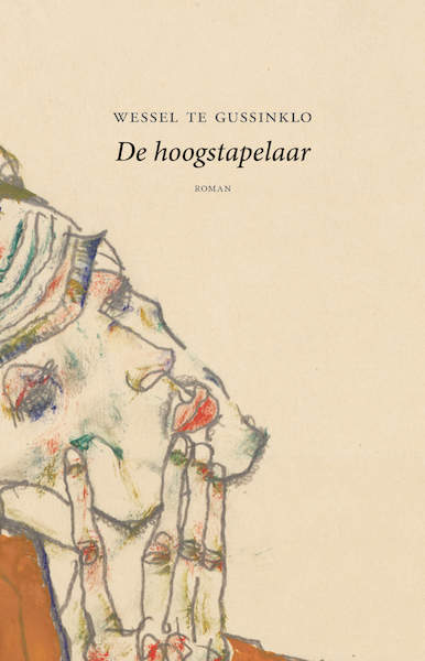 De hoogstapelaar - Wessel te Gussinklo (ISBN 9789492313850)