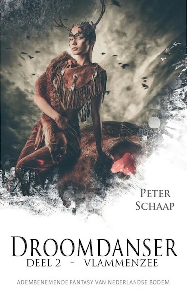 Vlammenzee - Peter Schaap (ISBN 9789463083577)