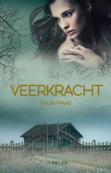 Veerkracht - Anja Maas (ISBN 9789493266032)