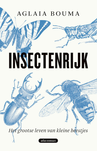 Insectenrijk - Aglaia Bouma (ISBN 9789045038025)