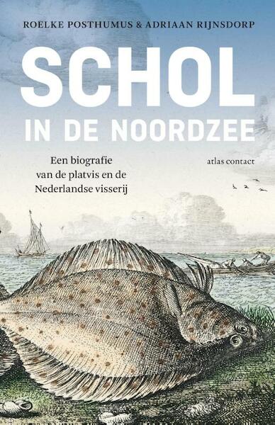Schol in de Noorzee - Roelke Posthumus, Adriaan Rijnsdorp (ISBN 9789045031231)