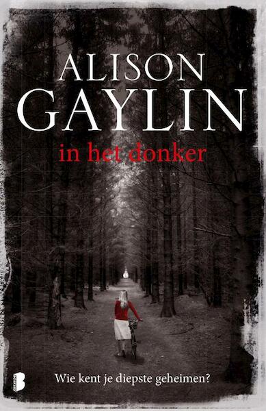 In het donker - Alison Gaylin (ISBN 9789022575208)