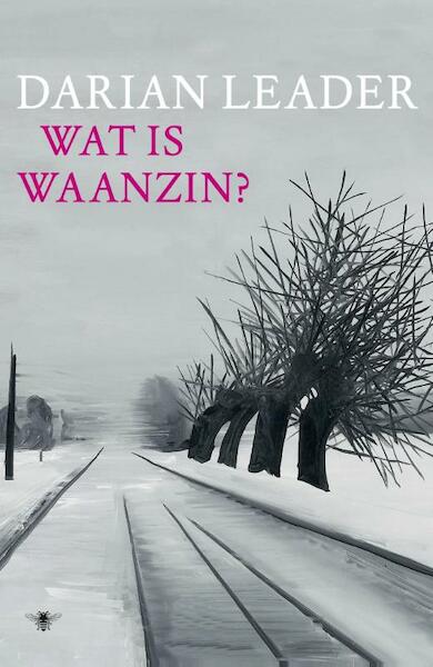 Wat is waanzin - Darian Leader (ISBN 9789023469872)