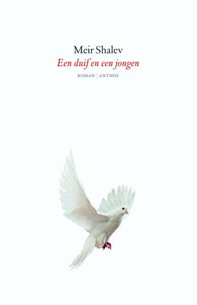 Een duif en een jongen - Meir Shalev (ISBN 9789041423627)