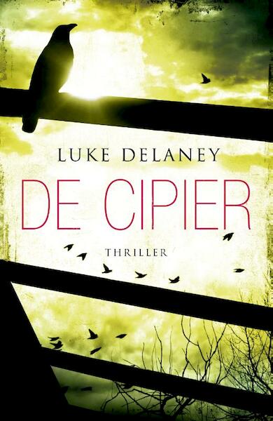 De cipier - Luke Delaney (ISBN 9789000322770)