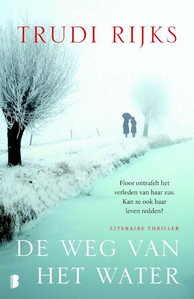 De weg van het water - Trudi Rijks (ISBN 9789402304138)