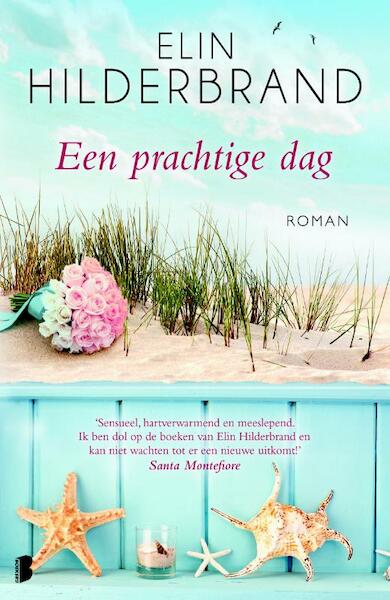 Een prachtige dag - Elin Hilderbrand (ISBN 9789022574256)