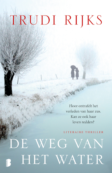 De weg van het water - Trudi Rijks (ISBN 9789022575826)