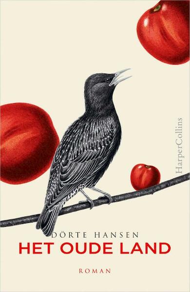 Het oude land - Dörte Hansen (ISBN 9789402713305)