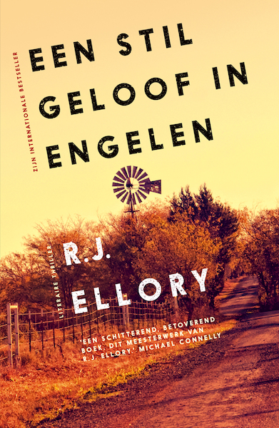 Een stil geloof in engelen - R.J. Ellory (ISBN 9789026127694)