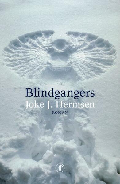 Blindgangers - Joke Johanetta Hermsen (ISBN 9789029579780)