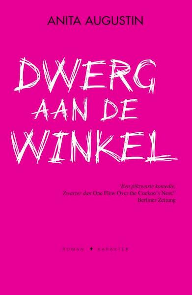Dwerg aan de winkel - Anita Augustin (ISBN 9789045202105)
