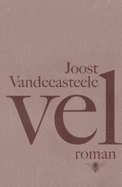 Vel - Joost Vandecasteele (ISBN 9789085424499)