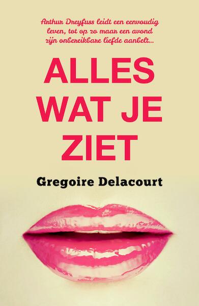 Alles wat je ziet - Grégoire Delacourt (ISBN 9789044970913)