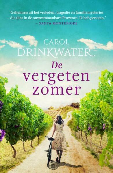 De vergeten zomer - Carol Drinkwater (ISBN 9789044975468)
