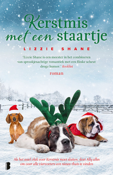 Kerstmis met een staartje - Lizzie Shane (ISBN 9789022591970)