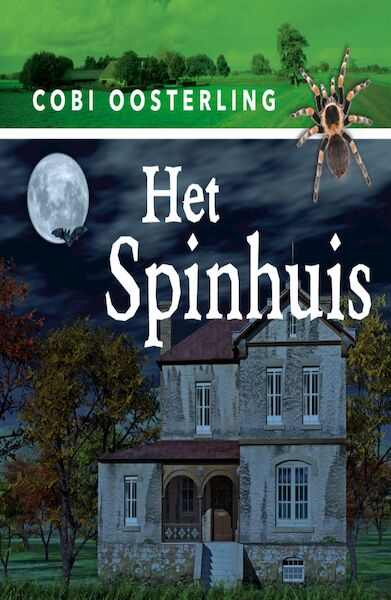 Het spinhuis - Cobi Oosterling (ISBN 9789462176171)