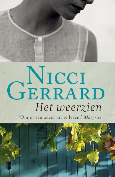 Het weerzien - Nicci Gerrard (ISBN 9789460925382)