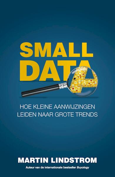Small Data - Martin Lindstrom (ISBN 9789044975062)