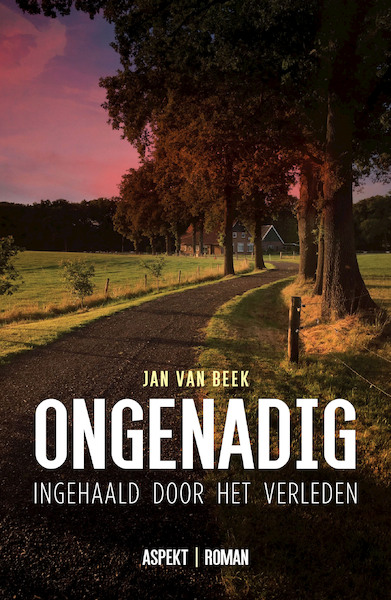 Ongenadig - Jan van Beek (ISBN 9789464241983)