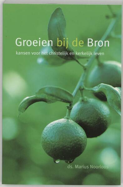 Groeien bij de bron - Marius Noorloos (ISBN 9789043512633)