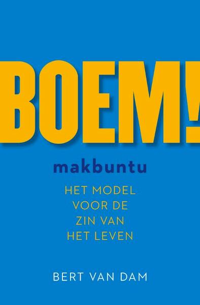 BOEM! - Bert van Dam (ISBN 9789492179081)