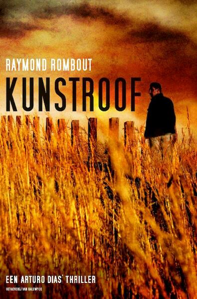 Kunstroof - Raymond Rombout (ISBN 9789461311009)