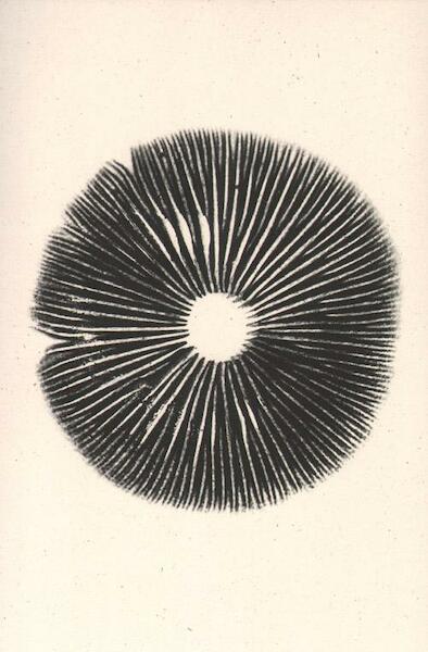 The mushroom project - Annie Ratti, Lorenzo Benedetti (ISBN 9789491843143)