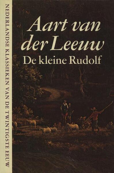 De kleine Rudolf - Aart van der Leeuw (ISBN 9789038897257)